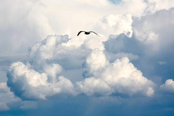 AWS Cloud Front Functions